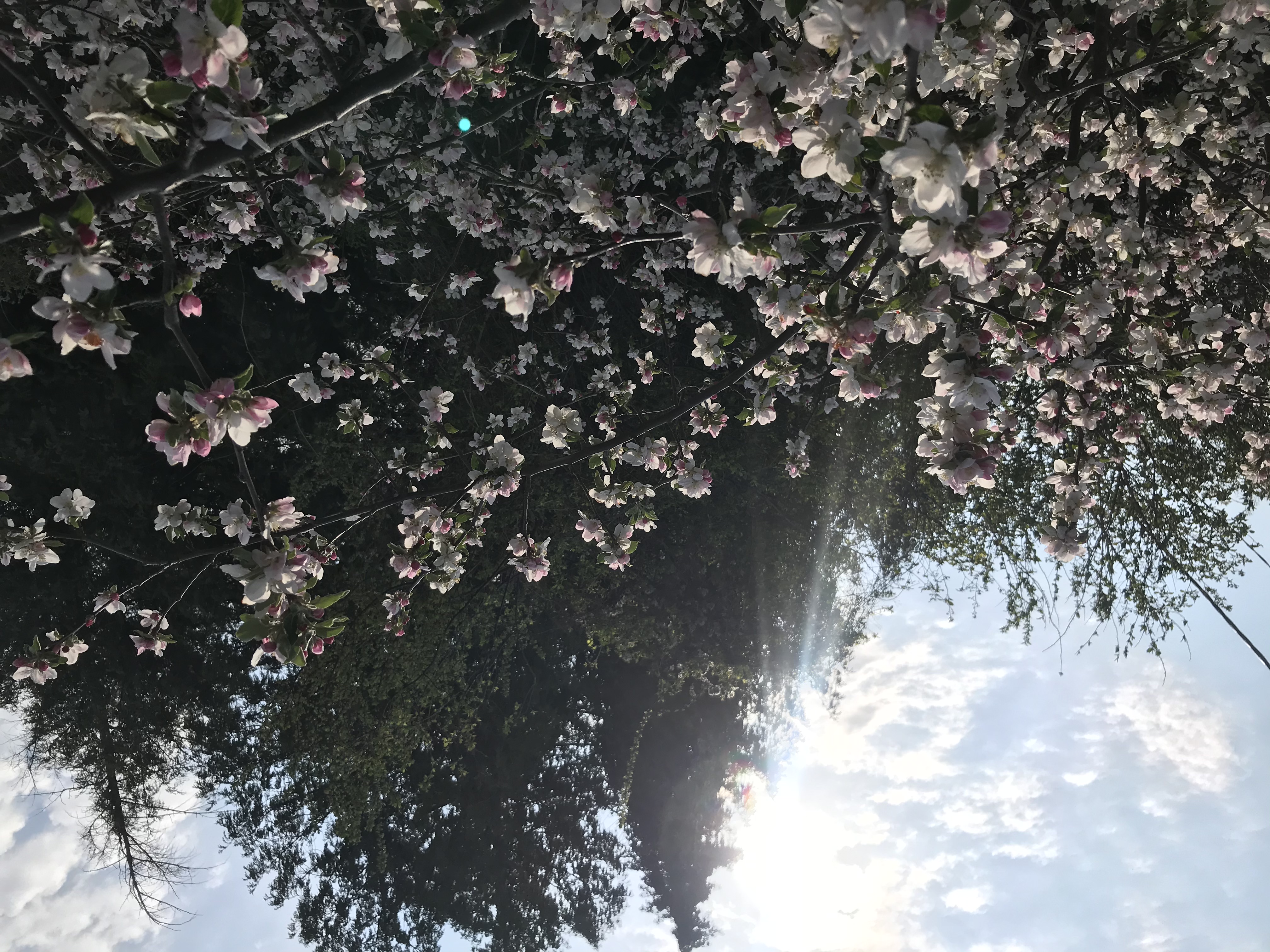 Sonnenlicht